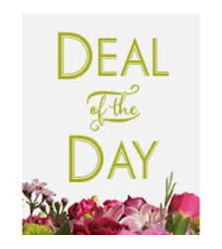 Oakleaf Deal of the Day