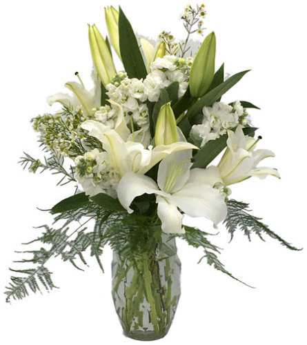 Lilies of Glory