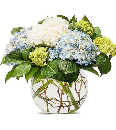 Hydrangeas In Willow Bowl