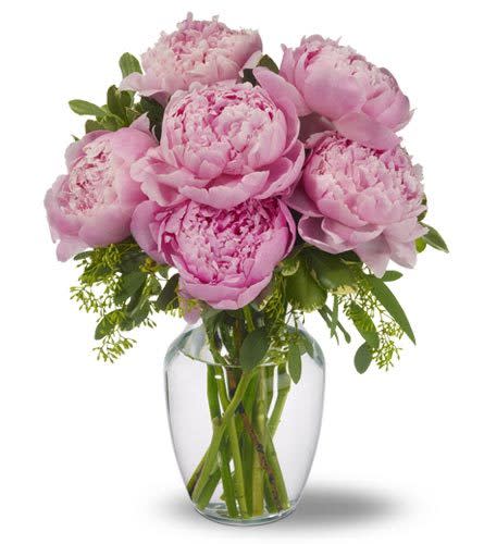 Peonies in pink