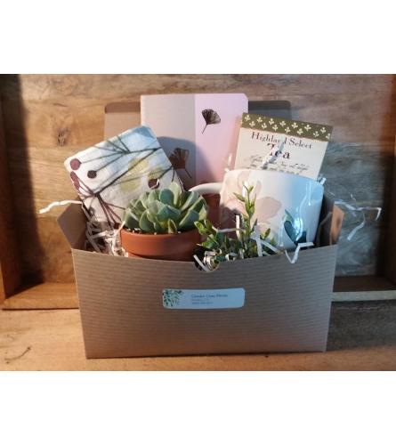 Quiet Time Gift Box