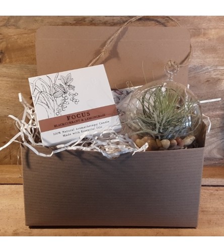 Keeping It Simple Gift Set