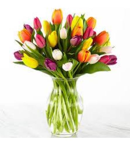 Mixed Tulip Vase