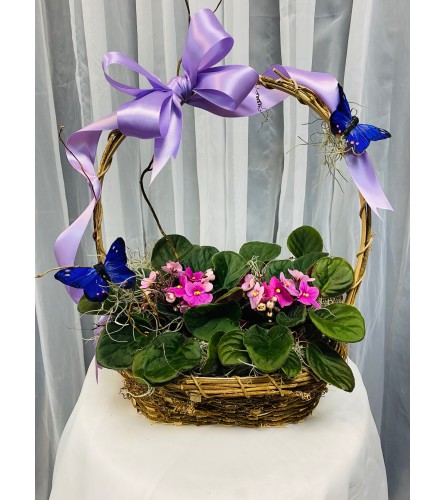 Ellington's Violet Basket - Colors Vary