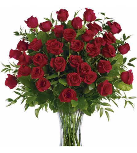 Red Magnificence