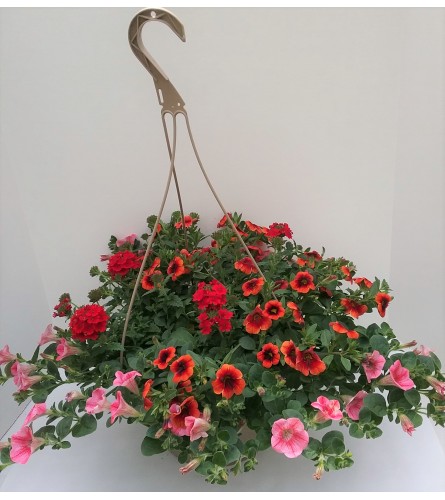 Flowering Hanging Basket Of Fun