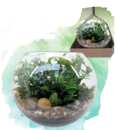 rose bowl Terrarium