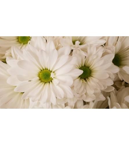 Florist Choice Gift