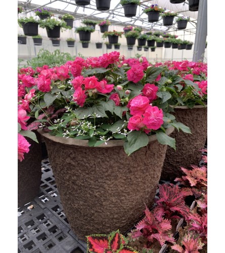 Shade Drop Pot with Bow