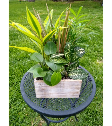 Rustic planter box