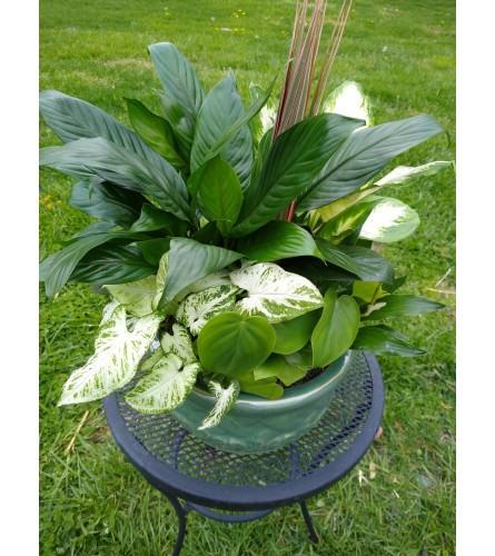 Ceramic Serenity Garden