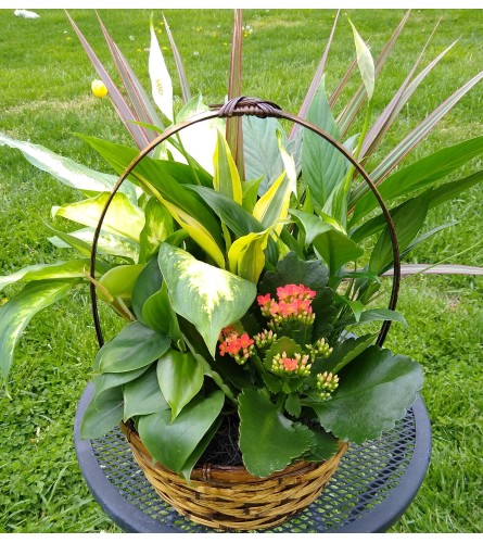 Beautiful Basket Garden