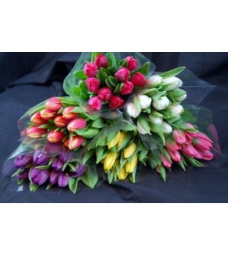 20 stems Wrapped Tulips (2 colours)