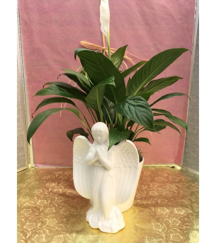 Angel Of Peace