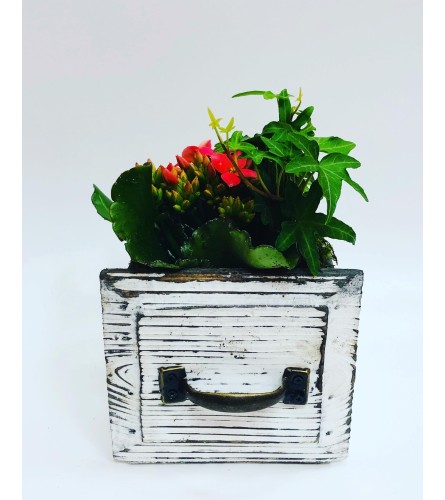 Rustic Small Planter