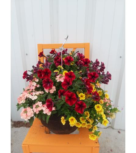 Greenhouse Hanging Basket -Large