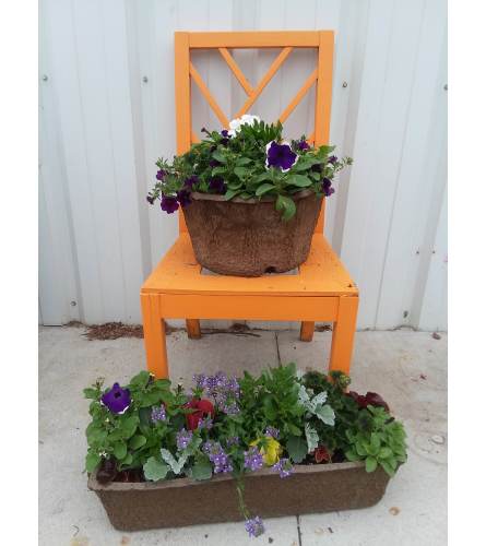 Greenhouse Round or Rectangle Pulp Planter - Large
