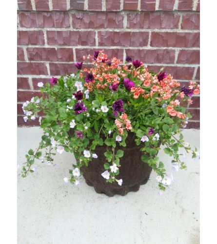 Greenhouse Pulp Planter - Large