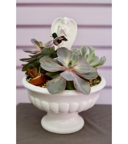 Succulent Fairy Garden  in Ceramic Pot