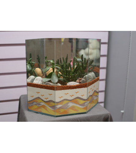 Cactus & Sand Design Dish Garden