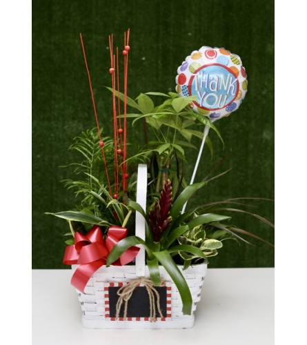 Flowering & Green Plants in a White Basket with Thank You Balloon