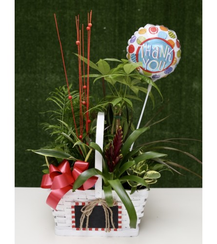 Charming Dish Garden with Thank You Balloon