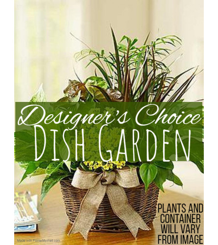 Dish Garden Florist Design