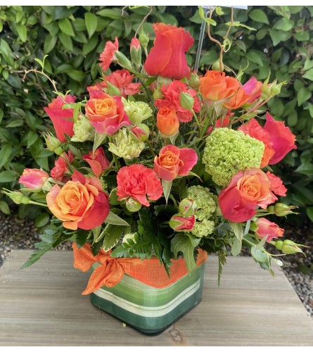 Orange you Glad for Today