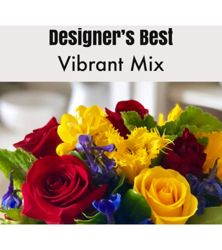Designer’s Best-Vibrant