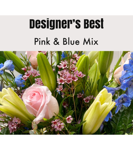 Designer’s Best-Pink & Blue