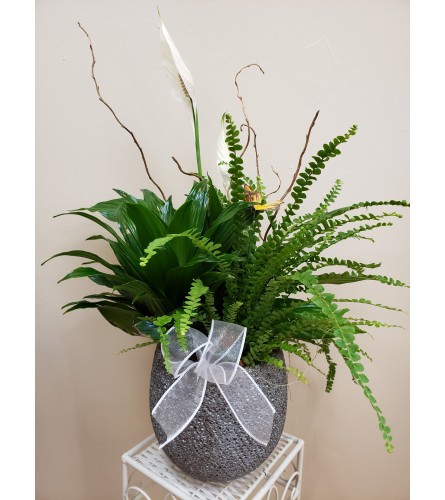 Peaceful Peace Lily with Tropicals