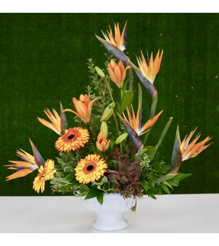 Tropical Bird Of Paradise Floral Arrangement