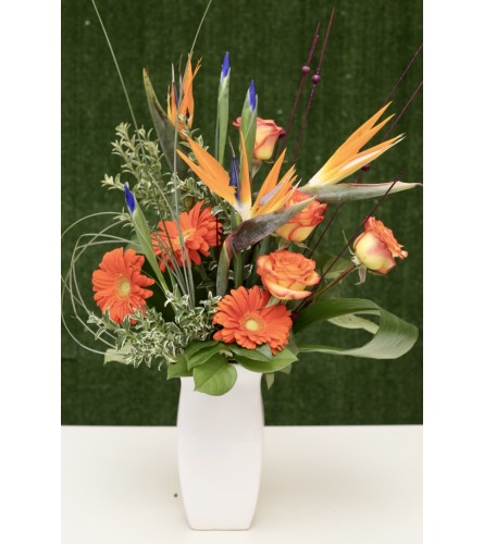 Loyal Love Floral Arrangement in a Vase