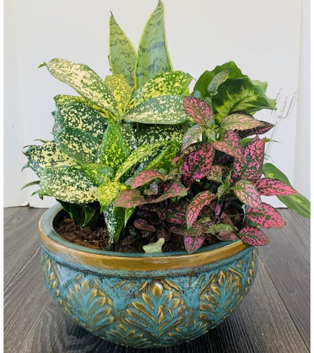 Ceramic Planter