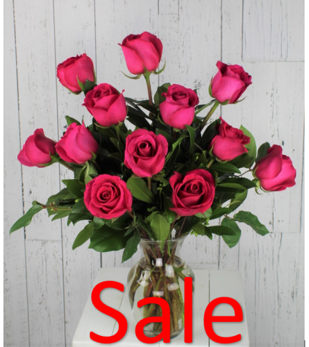 Dozen Hot Pink Rose Bouquet