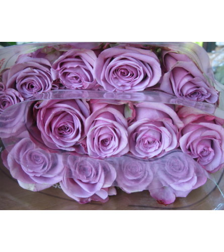 DELUXE LAVENDER ROSES (HALF DOZEN TO 1.5 DOZEN)