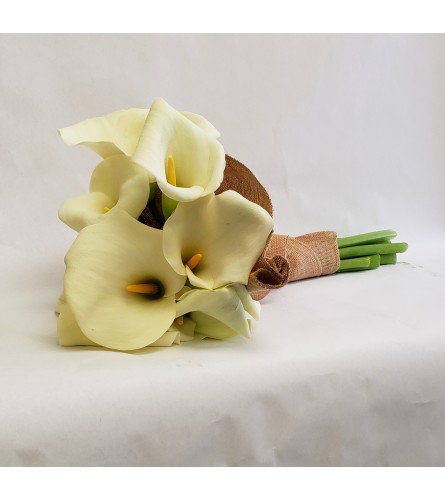 Calla Dreamin'