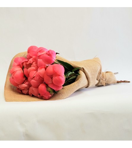 Coral Charm her day