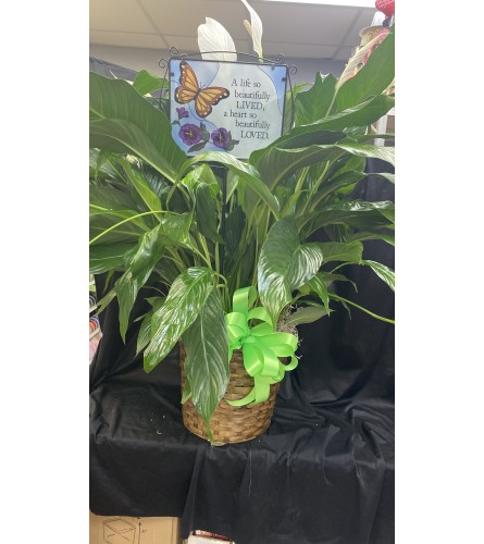 GARDEN STAKE BUTTERFLY IN PEACE LILY