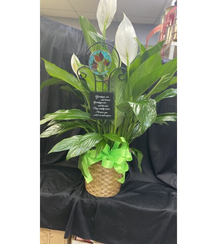 GARDEN TRELIS IN PEACE LILY