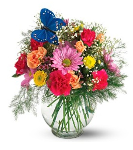 Teleflora's Butterfly Blossoms Vase Arrangement