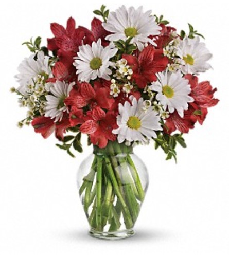 Dancing In Daisies Vase Arrangement