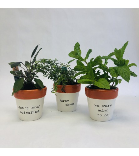 Thyme is all you need