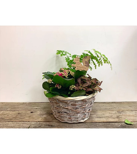 7" Willow Basket