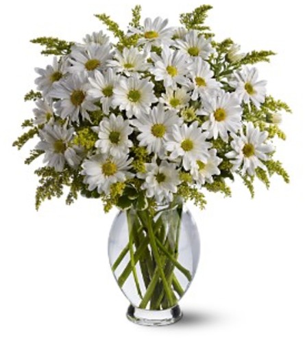 Teleflora's Daisy Days Vase Arrangement