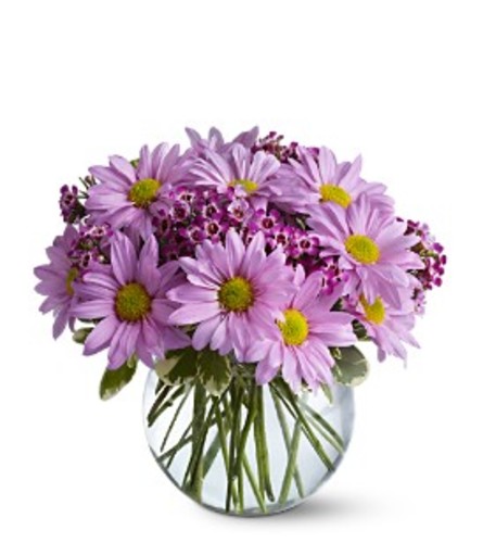 Delightfully Daisy Vase Arrangement