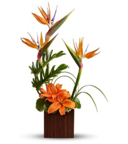 Bamboo Paradise Arrangement