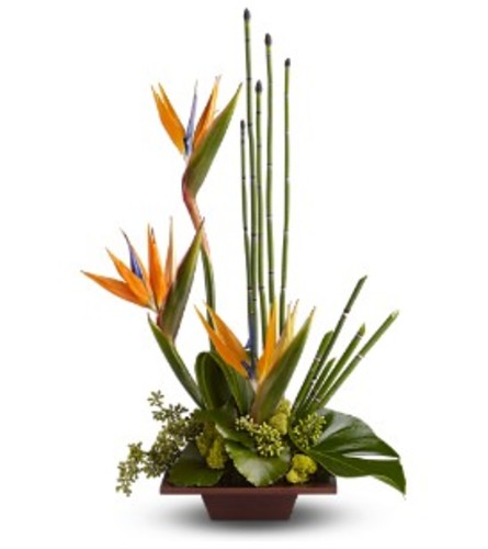 Teleflora's Bamboo Rainforest Arrangement