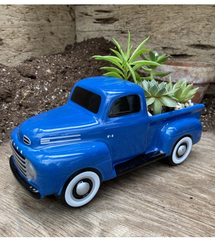 '48 Ford Pickup Truck with Succulents
