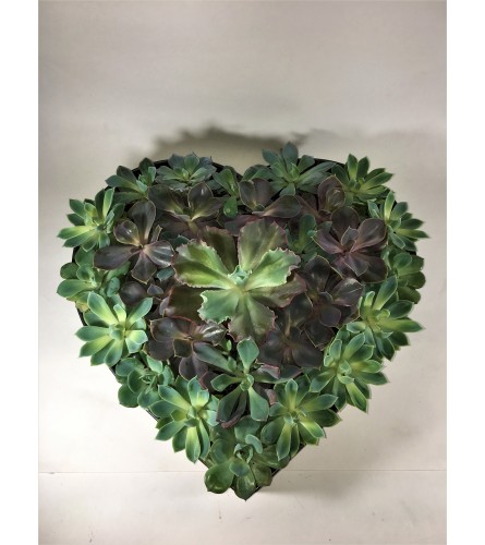 Succulent Love heart planter